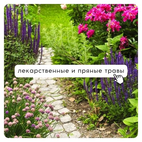 боковой сквозной