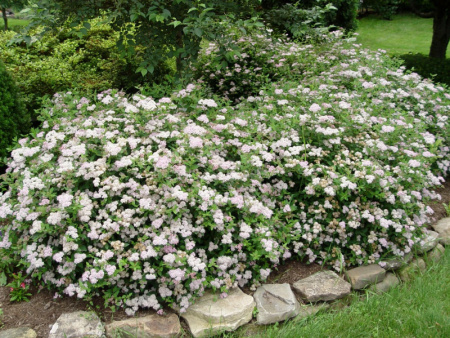 НоменклатураПрисоединенныеФайлы НоменклатураПрисоединенныеФайлы