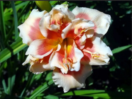 НоменклатураПрисоединенныеФайлы