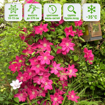 1 1