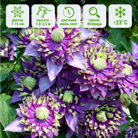 1 1