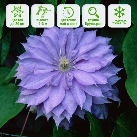 1 1