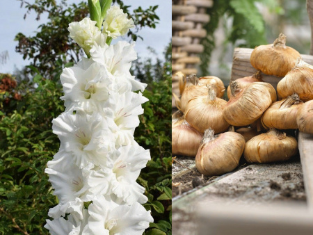 НоменклатураПрисоединенныеФайлы