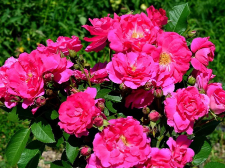 НоменклатураПрисоединенныеФайлы