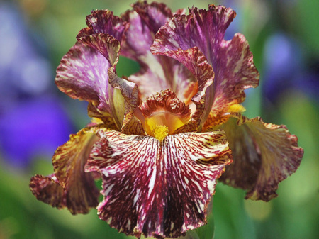 НоменклатураПрисоединенныеФайлы