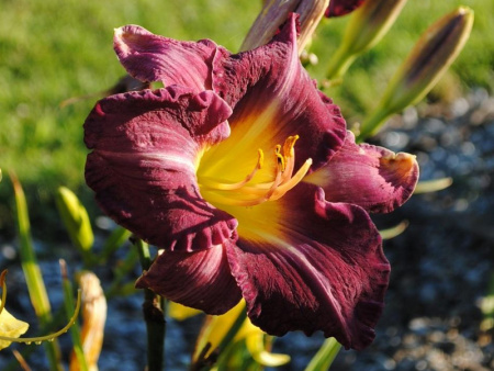 НоменклатураПрисоединенныеФайлы