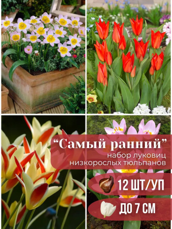 ботанический