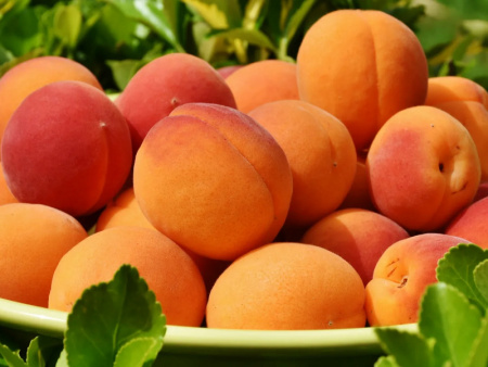 абрикос Цунами