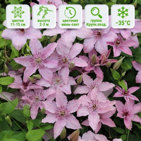 1 1
