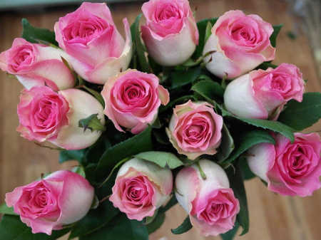 НоменклатураПрисоединенныеФайлы