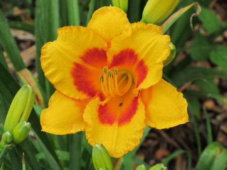 НоменклатураПрисоединенныеФайлы