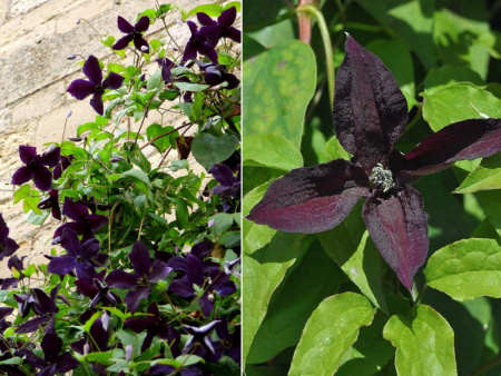 НоменклатураПрисоединенныеФайлы