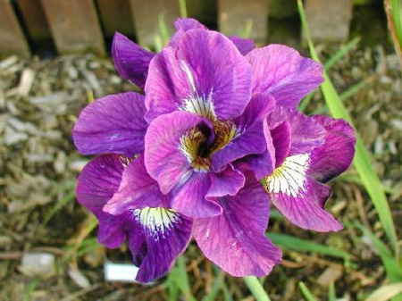 НоменклатураПрисоединенныеФайлы