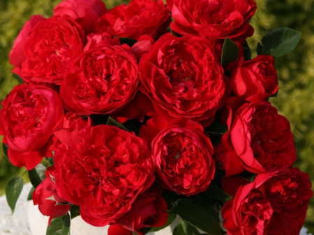 НоменклатураПрисоединенныеФайлы