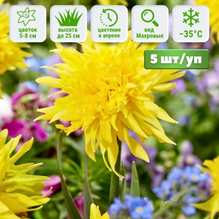 Нарцисс Рип Ван Винкл