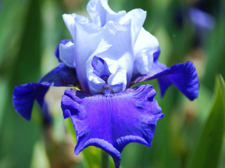 НоменклатураПрисоединенныеФайлы