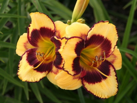 НоменклатураПрисоединенныеФайлы