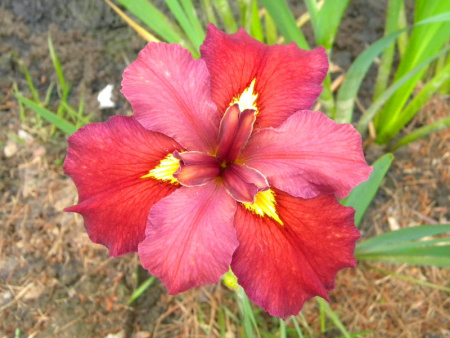 НоменклатураПрисоединенныеФайлы