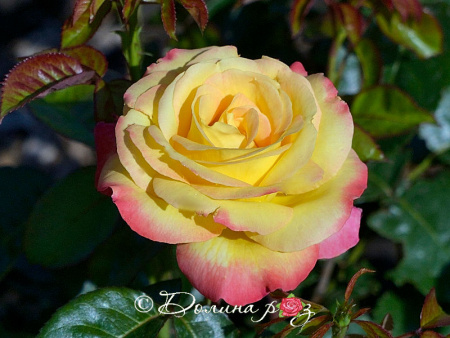 ВосточныйЭкспресс с