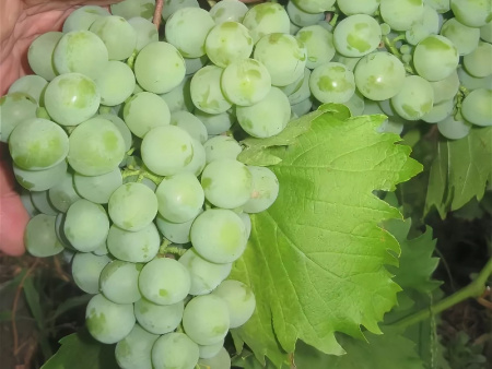 НоменклатураПрисоединенныеФайлы НоменклатураПрисоединенныеФайлы