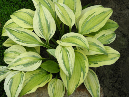 НоменклатураПрисоединенныеФайлы