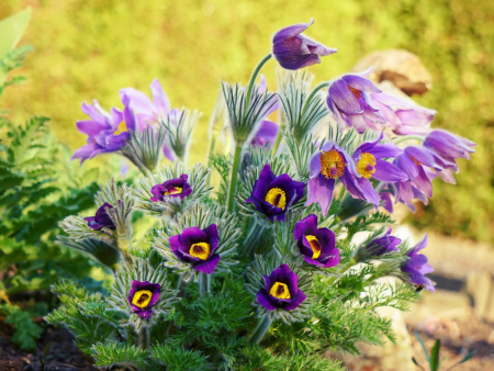 НоменклатураПрисоединенныеФайлы