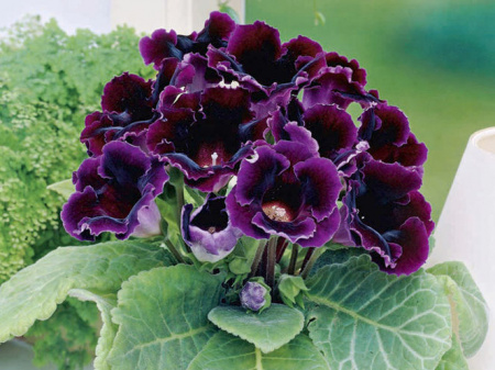 НоменклатураПрисоединенныеФайлы