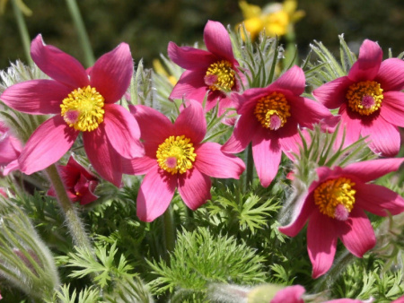 НоменклатураПрисоединенныеФайлы