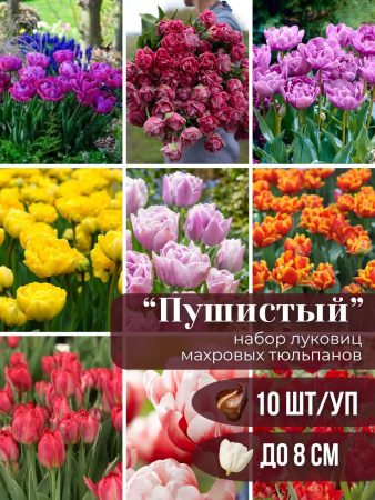 махровый 10 махровый 10