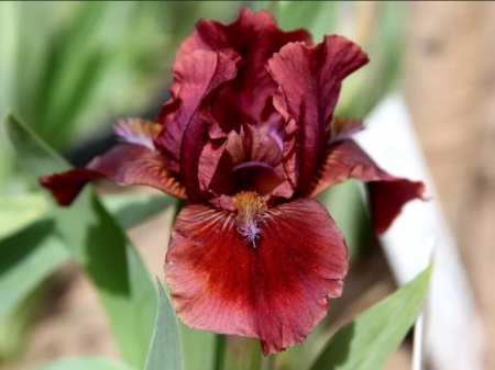 НоменклатураПрисоединенныеФайлы