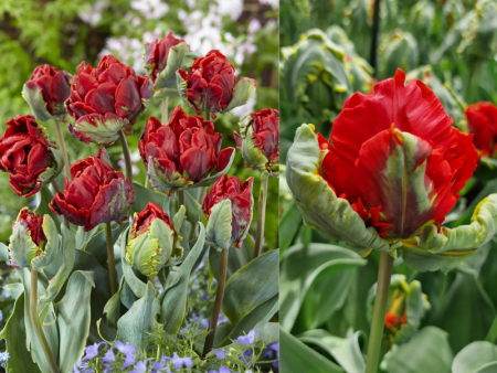 НоменклатураПрисоединенныеФайлы