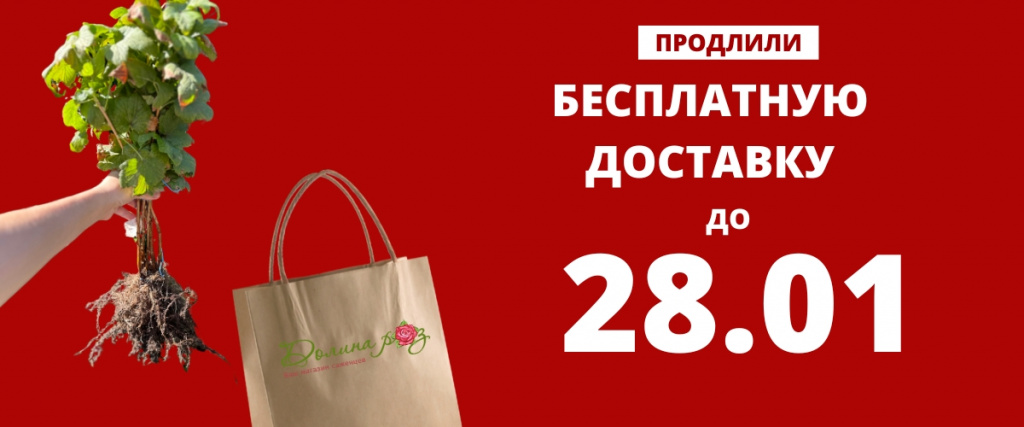 доставка (1200 x 500 пикс.).jpg