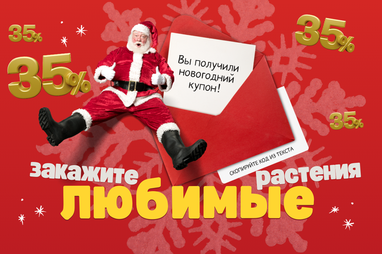 Ваш новогодний подарок —35% на любимые растения! фото Ваш новогодний подарок —35% на любимые растения! фото