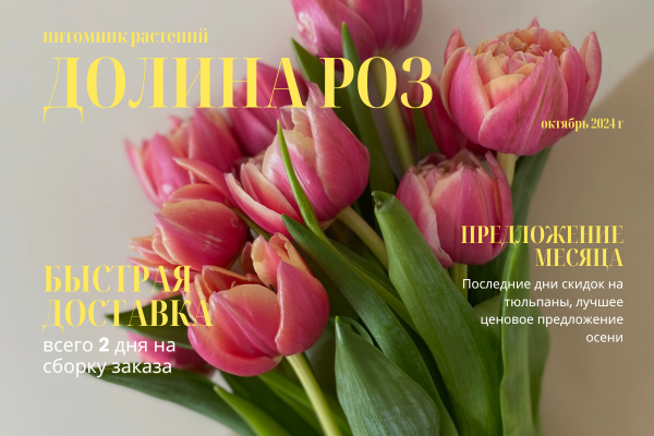 Так быстро мы заказы ещё не собирали - ВСЕГО 2 ДНЯ НА КОМПЛЕКТАЦИЮ фото Так быстро мы заказы ещё не собирали - ВСЕГО 2 ДНЯ НА КОМПЛЕКТАЦИЮ фото