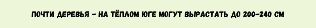 анонс1.png анонс1.png