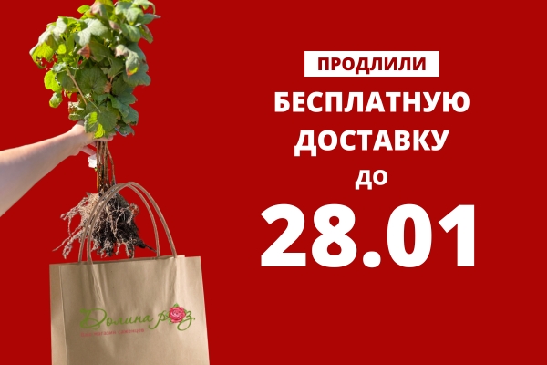 Доставляем счастье: продлили бесплатную доставку! фото Доставляем счастье: продлили бесплатную доставку! фото