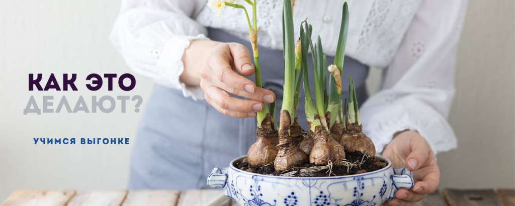 Выгнка (1200 x 600 пикс.) (1000 x 400 пикс.).png Выгнка (1200 x 600 пикс.) (1000 x 400 пикс.).png