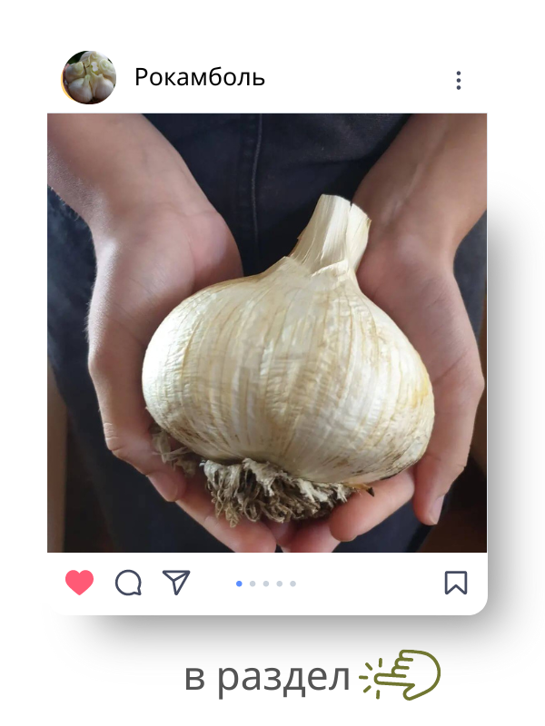 рокамболь.png рокамболь.png