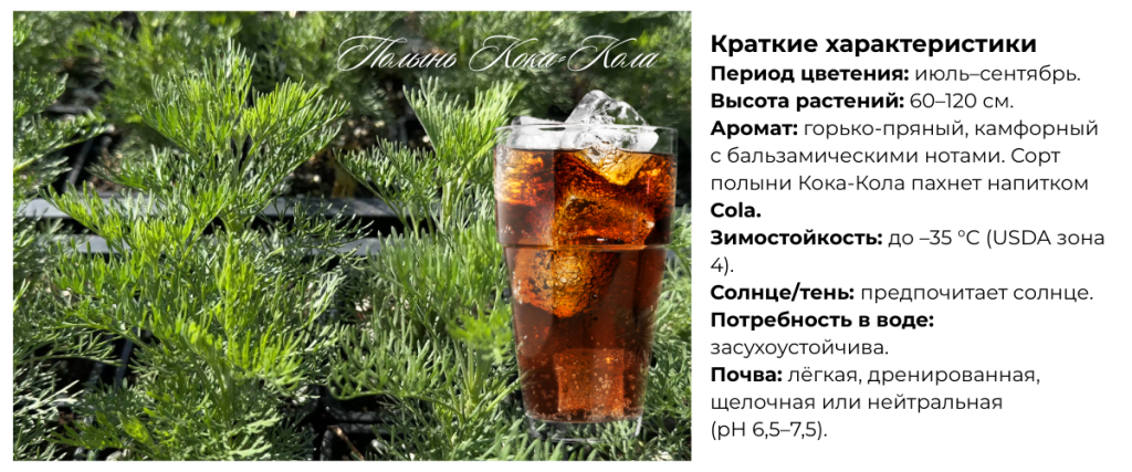Полынь.png Полынь.png