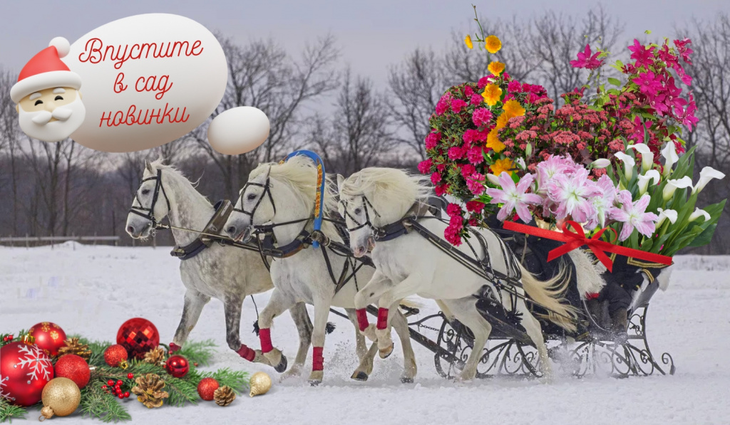 новинки (1200 x 700 пикс.).jpg