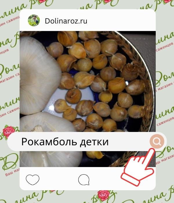 Рокамболь детки.jpg