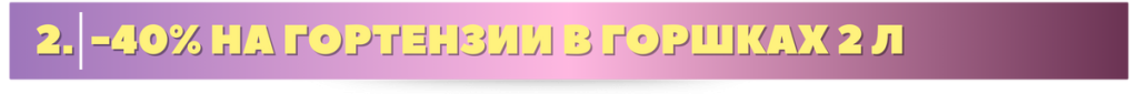 гортензии.png гортензии.png