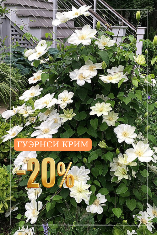 Гуэрнси Крим.png Гуэрнси Крим.png