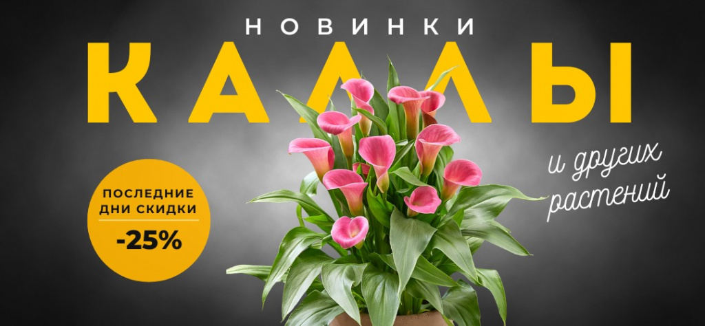 калла скидки (1).jpg калла скидки (1).jpg