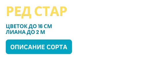 Ред Стар (500 x 200 пикс.).png Ред Стар (500 x 200 пикс.).png