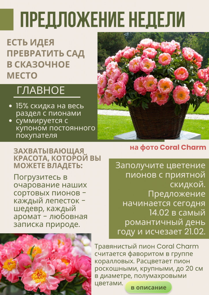 предложение недели.png