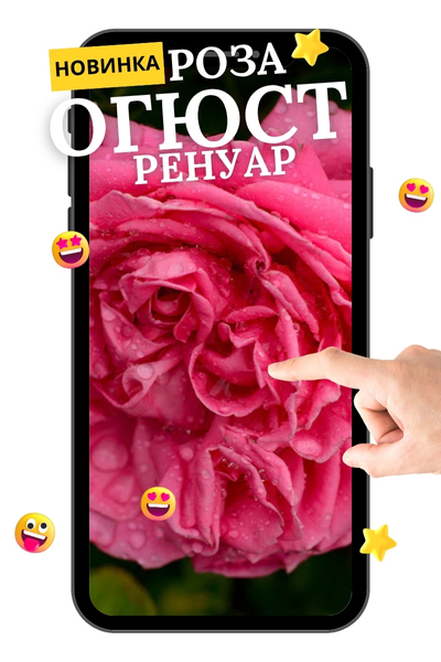 Огюст Ренуар.jpg Огюст Ренуар.jpg