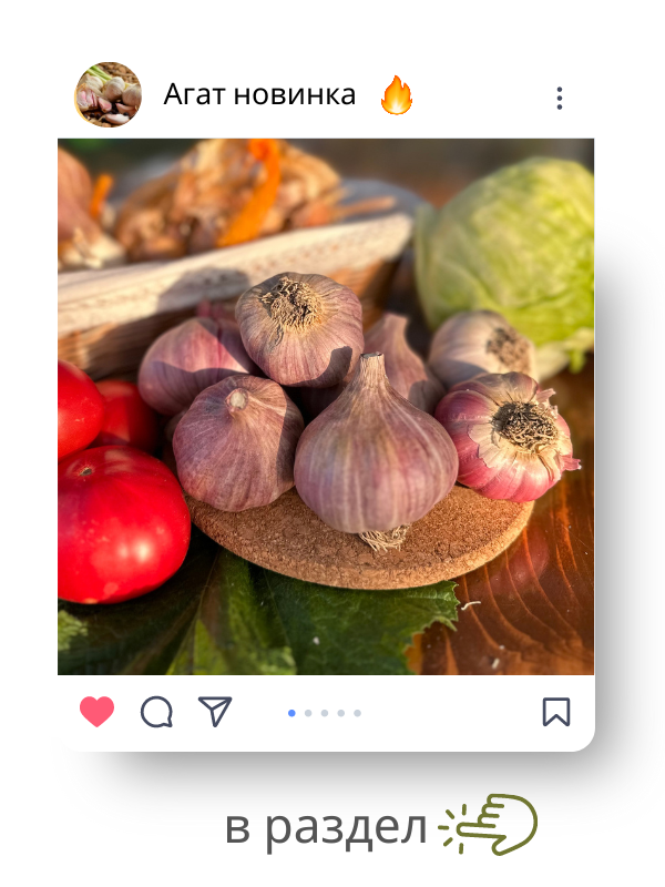 агат.png агат.png