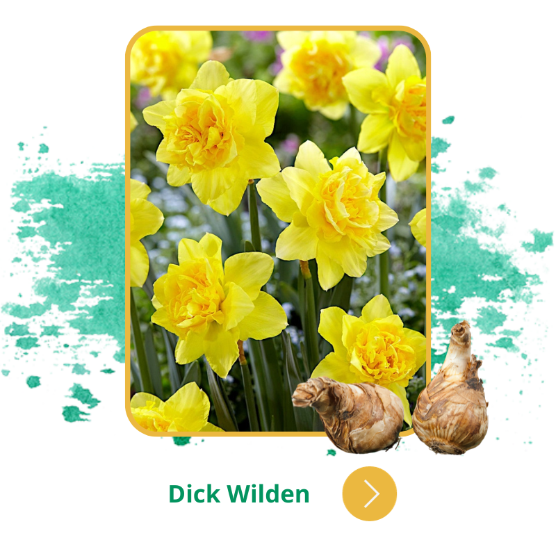 Dick Wilden.png Dick Wilden.png