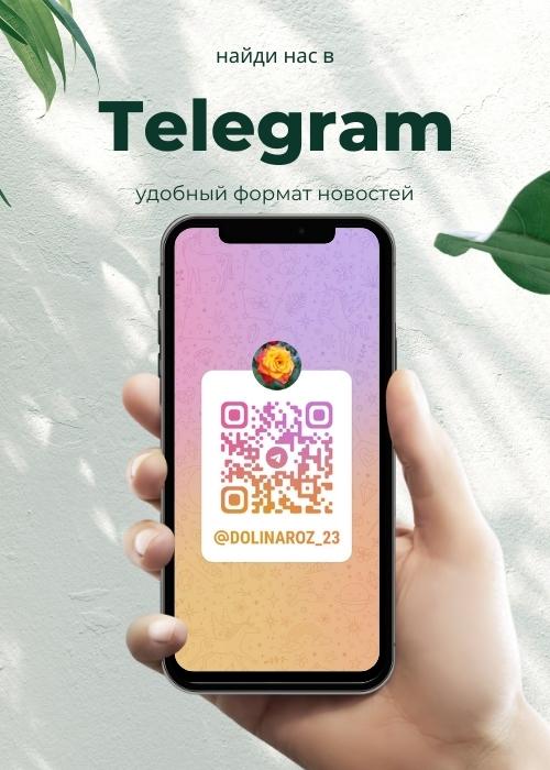 телеграм.jpg телеграм.jpg